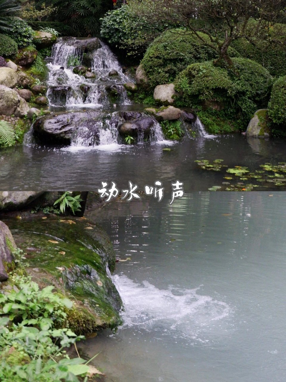 清溪园:藏在都江堰的人间仙境 78不同于精致典雅的江南园林,蜀中