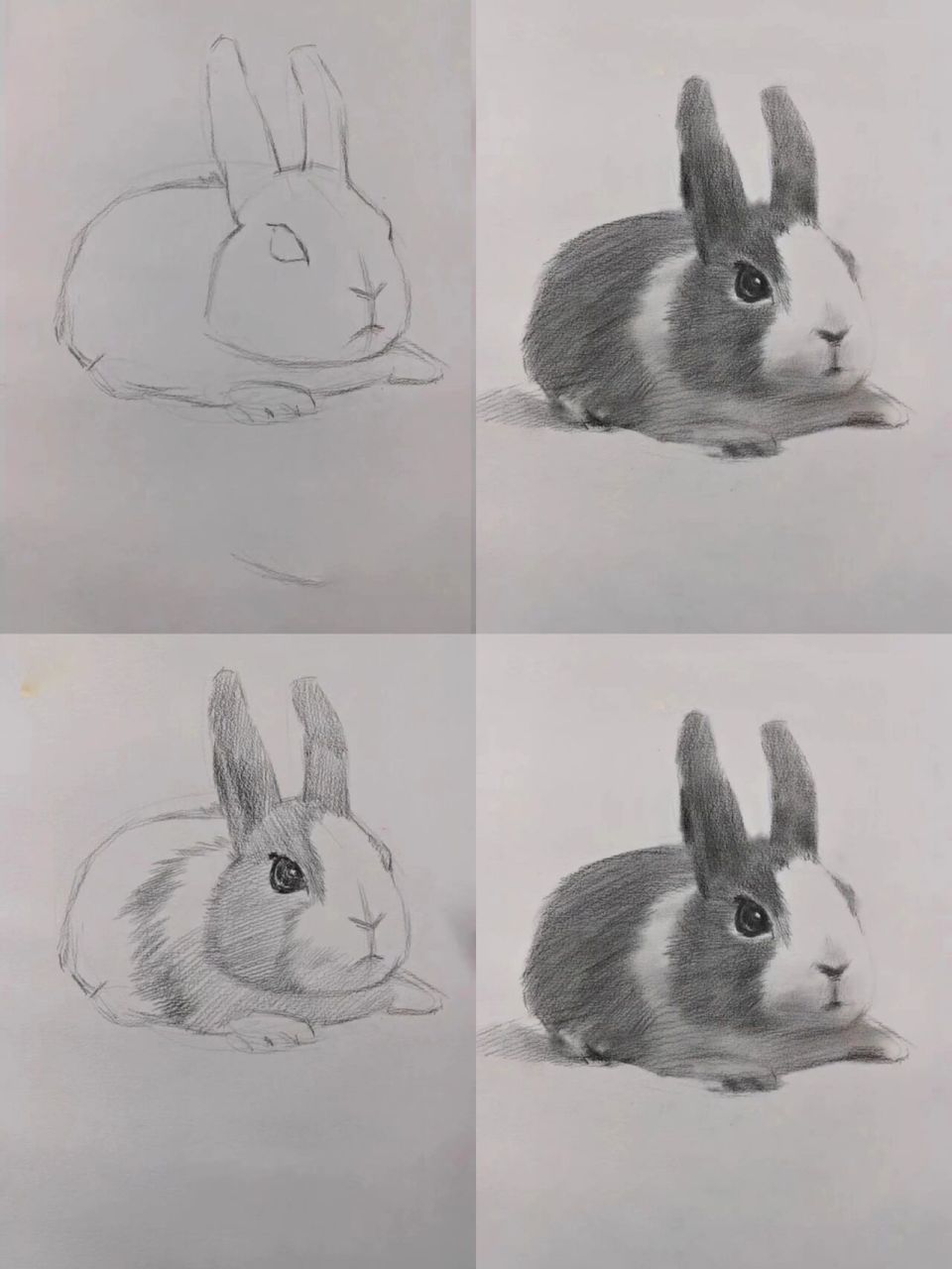 素描小兔子怎么画图片