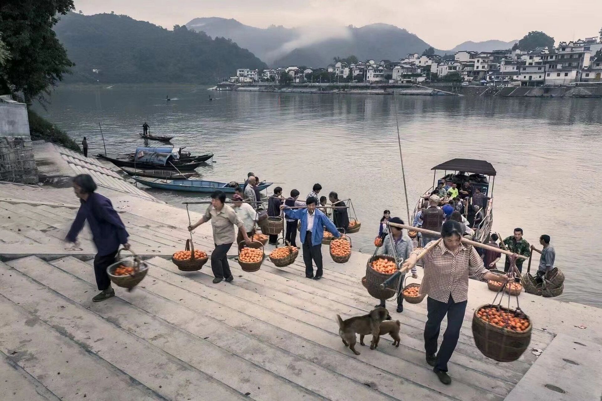 新安江三潭枇杷 漳潭,绵潭,瀹潭因此得名三潭枇杷,主要产自于新安江库