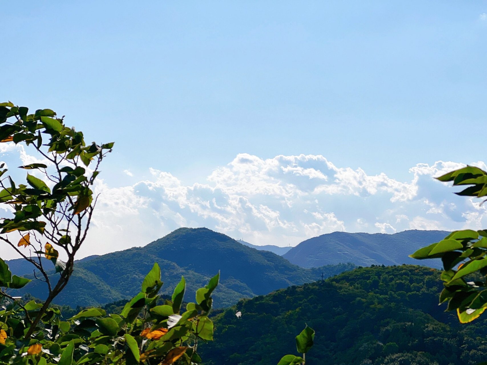 市内宝藏登山遛娃好去处|百望山森林公园 十月金秋当然要去登高赏秋景