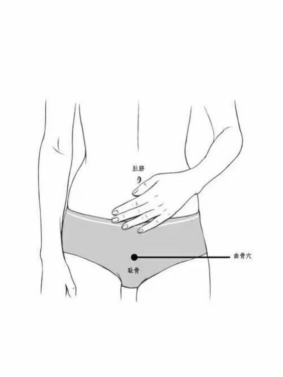 73今日穴位分享~曲骨穴 曲骨穴是任脉上的一个穴位 ,可以用来治疗