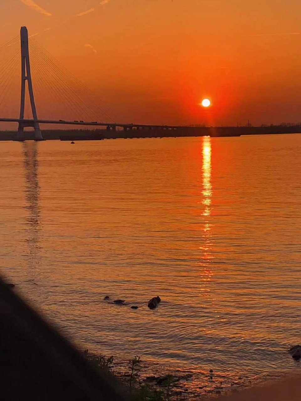 南京鱼嘴湿地公园夕阳图片