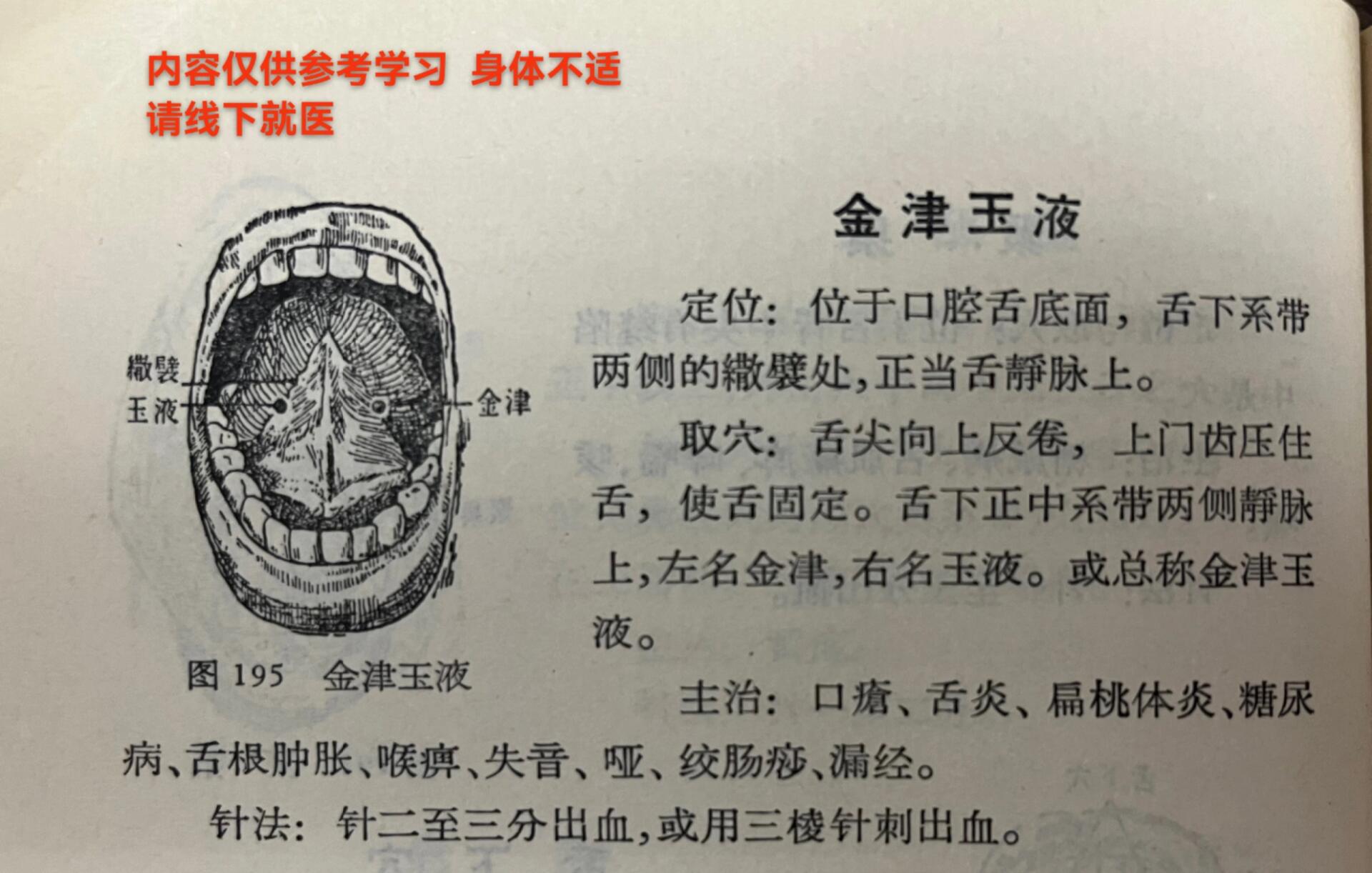 经外奇穴 口部 金津玉液 定位 取穴 主治