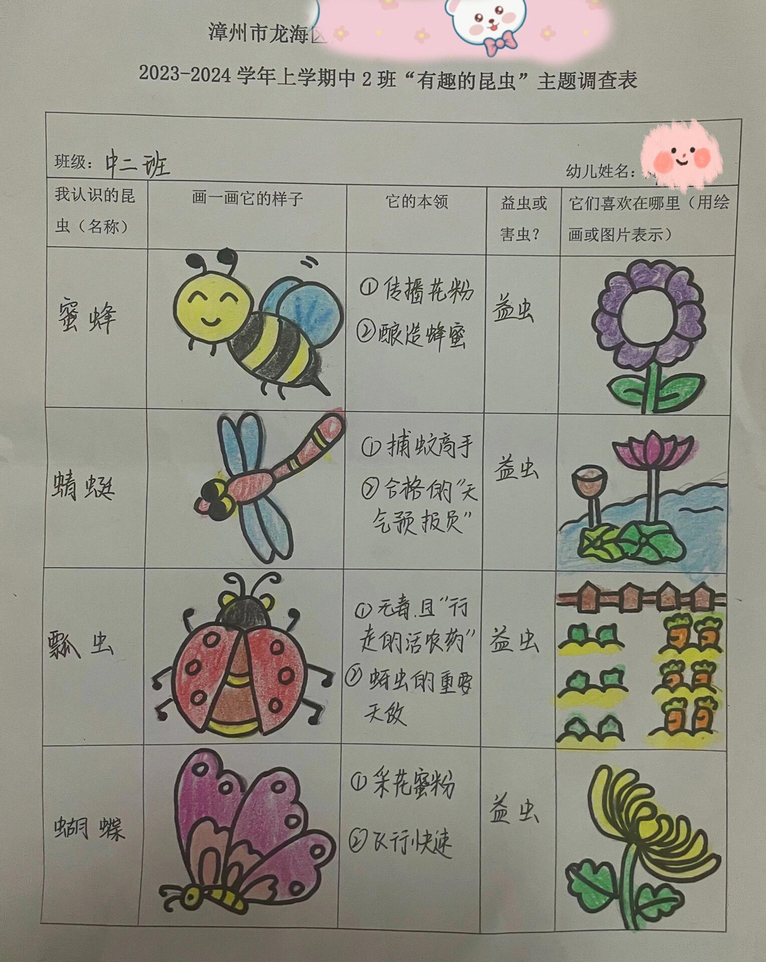 有趣的昆虫