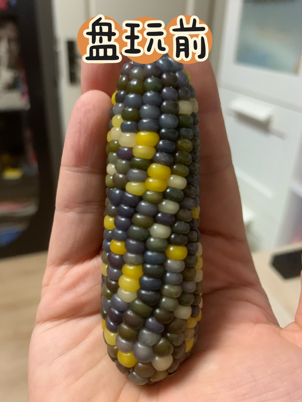 文玩玉米菩提品种盘玩前后对比 有粉丝问,什么颜色的玉米盘玩出来更