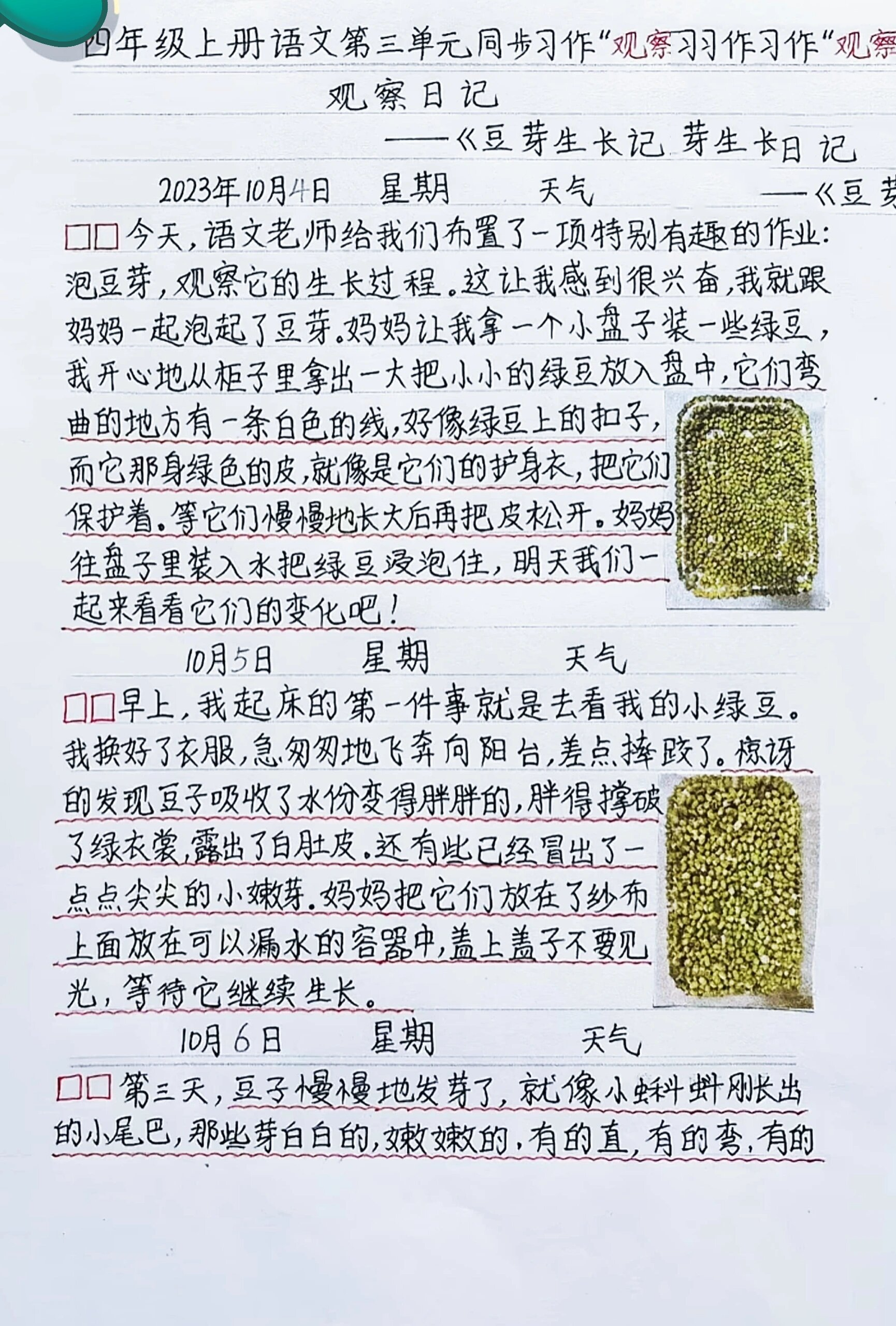 92四年级语文上册观察日记《豆芽生长记