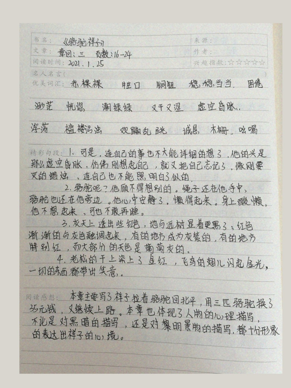 骆驼祥子读书笔记第三章 上星期写的