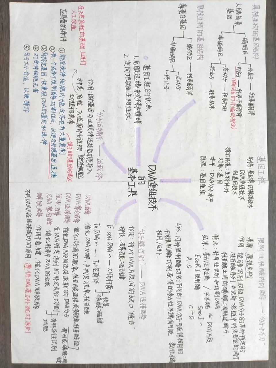 高中生物|选修三·基因工程思维导图97 93  前几天为复习整理的