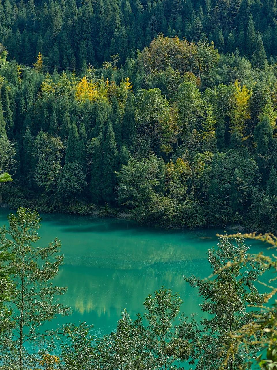 彭州白水河探秋 白水河的秋天比夏天宁静太多了,拜访了清凉寺,山里