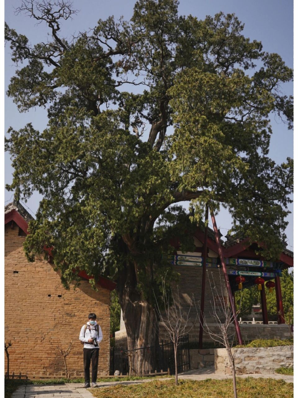 邢台内丘现存全国历史最悠久的扁鹊庙 📍河北省邢台市内丘县神头村