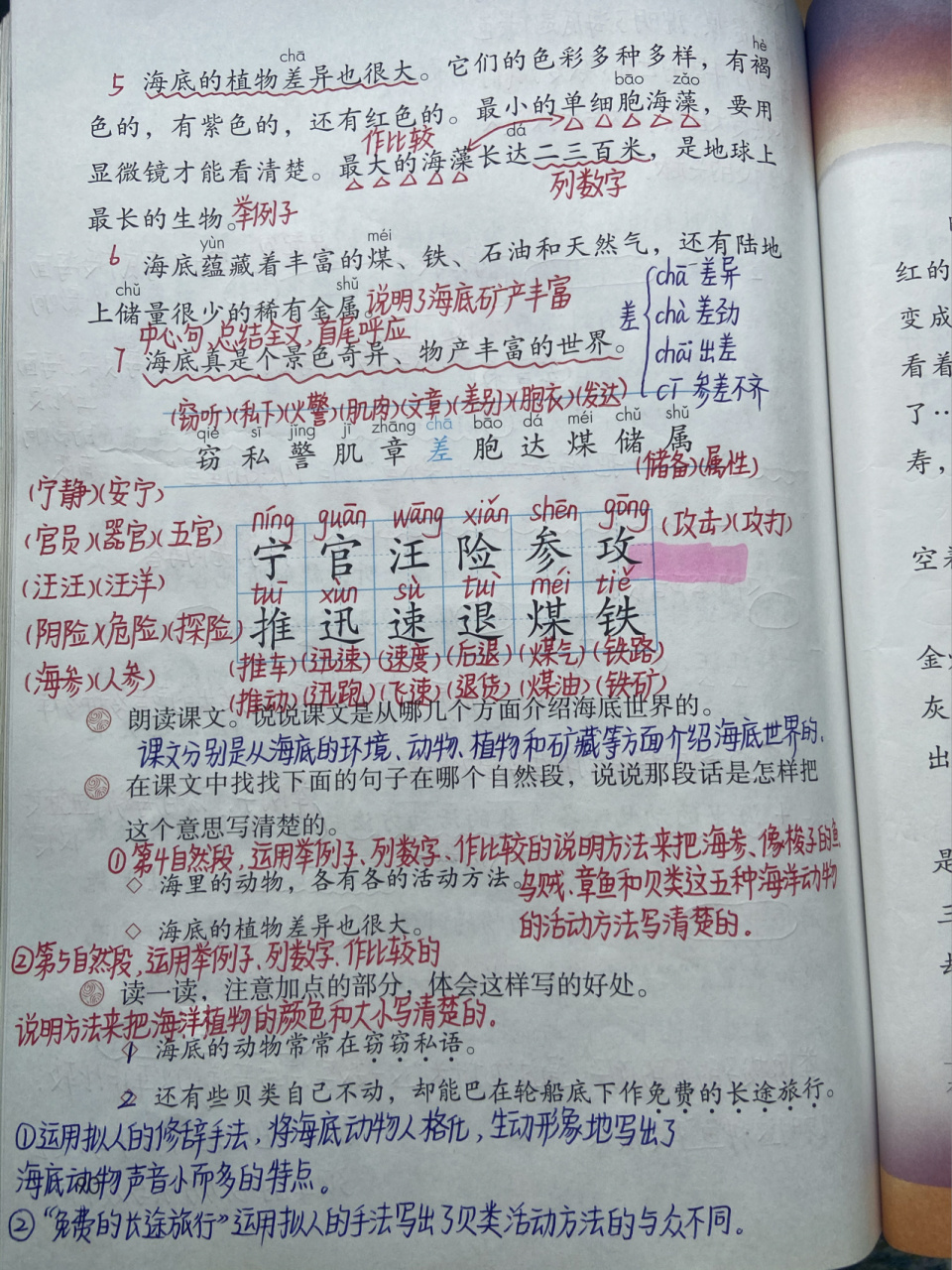 三年级语文下册 第23课 《海底世界》