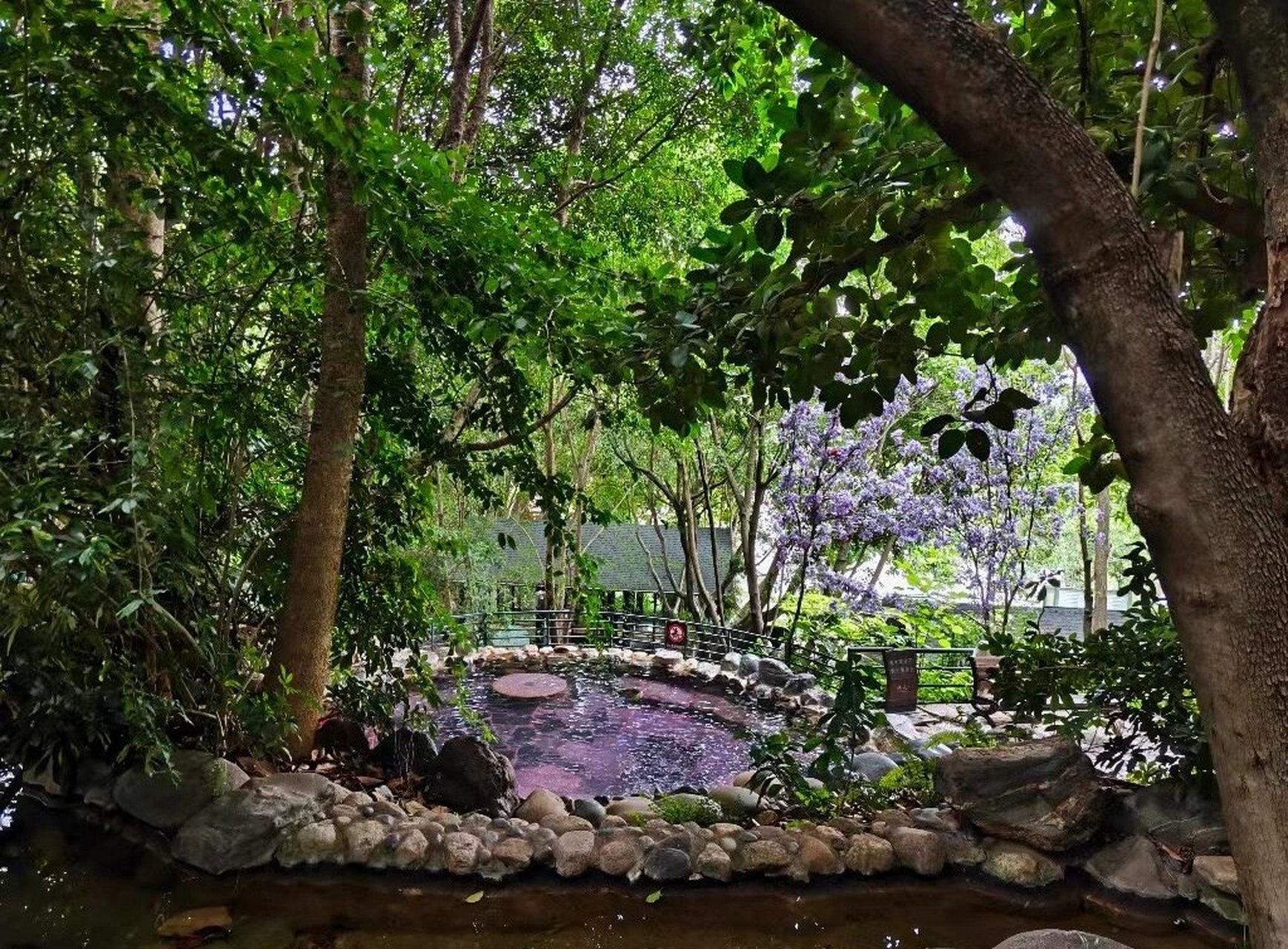7615去半山温泉真的很推荐直接入住湖泉酒店里 超级喜欢吃湖泉的