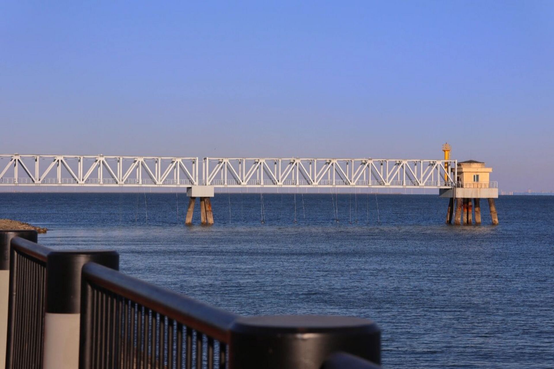 天津滨海新区‖东堤公园和南湾公园 心情很不好,临时决定去看海98