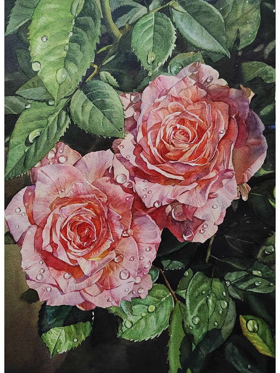 详细步骤图 水彩花卉,宝虹艺术家中粗,美捷乐水彩.记录自己绘画过程.