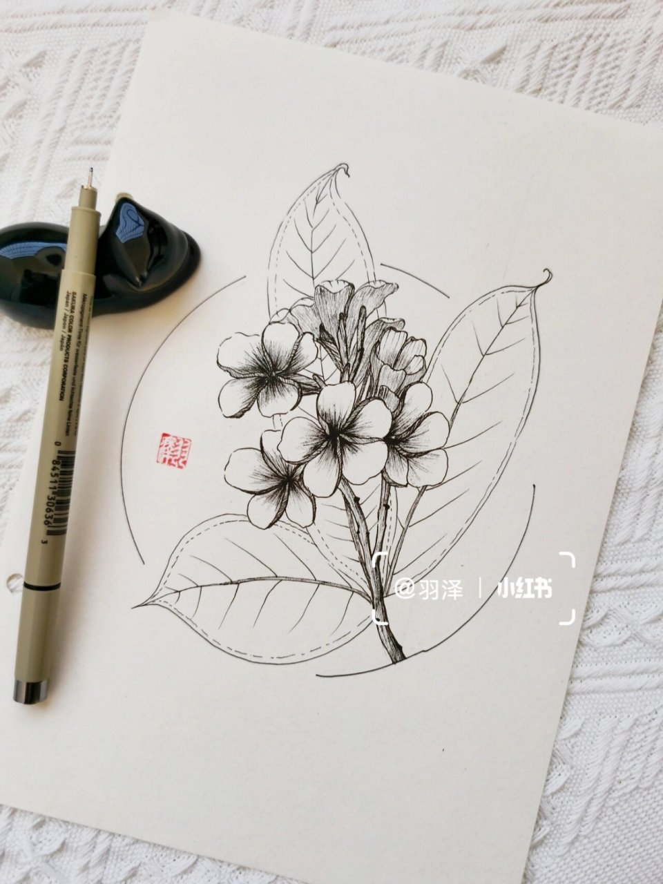 每日一画:植物速写(鸡蛋花)