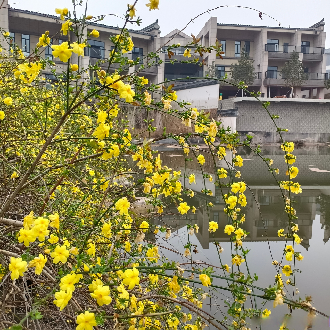 美丽的容颜大同小异 丑陋的相貌千奇百怪 活着方法千千万万 死亡结果