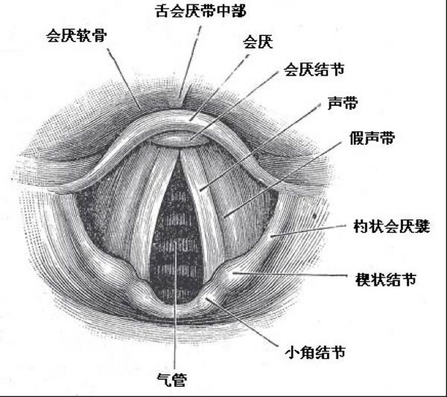 ❓生活中大部分人都对一些事物有一些固有印象和