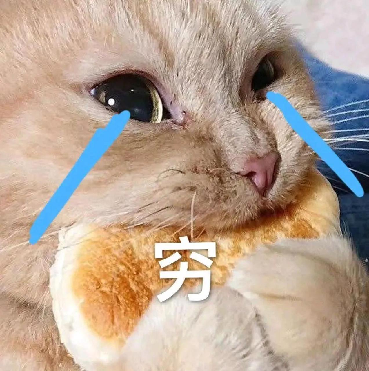 虽然无房,但至少不用担心房子变成