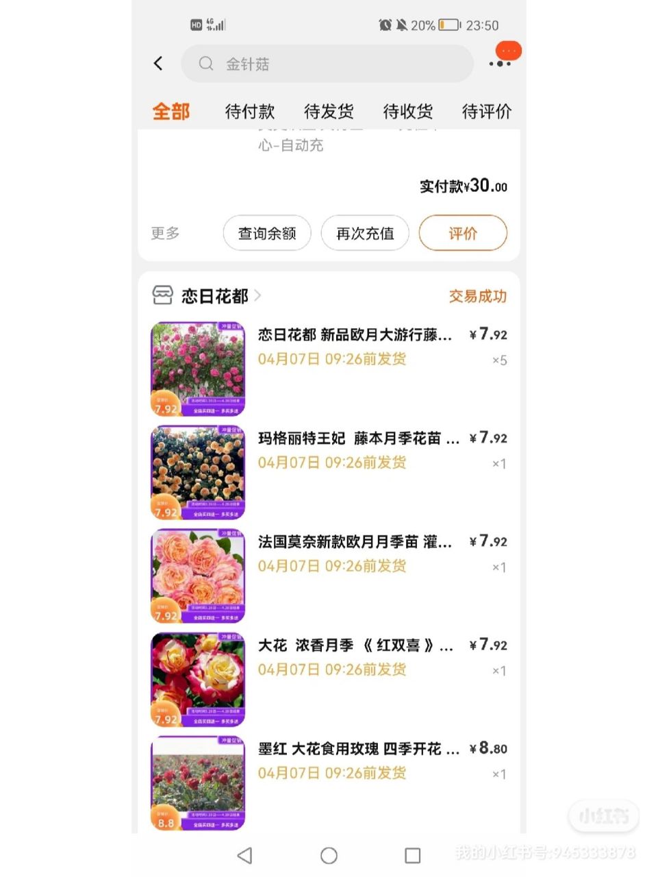 耐阴月季品种总结 耐阴: 马萨德医生(红色灌木) 威基伍德(淡粉色藤本)