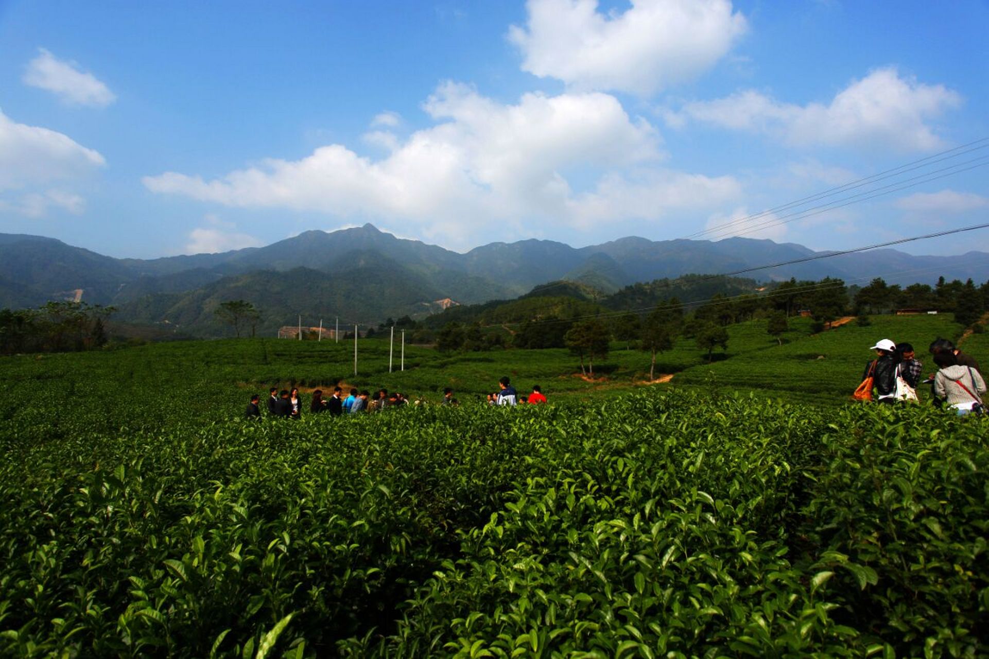 宁都好地方-小布镇 你去过古色古香的千年万寿宫吗?