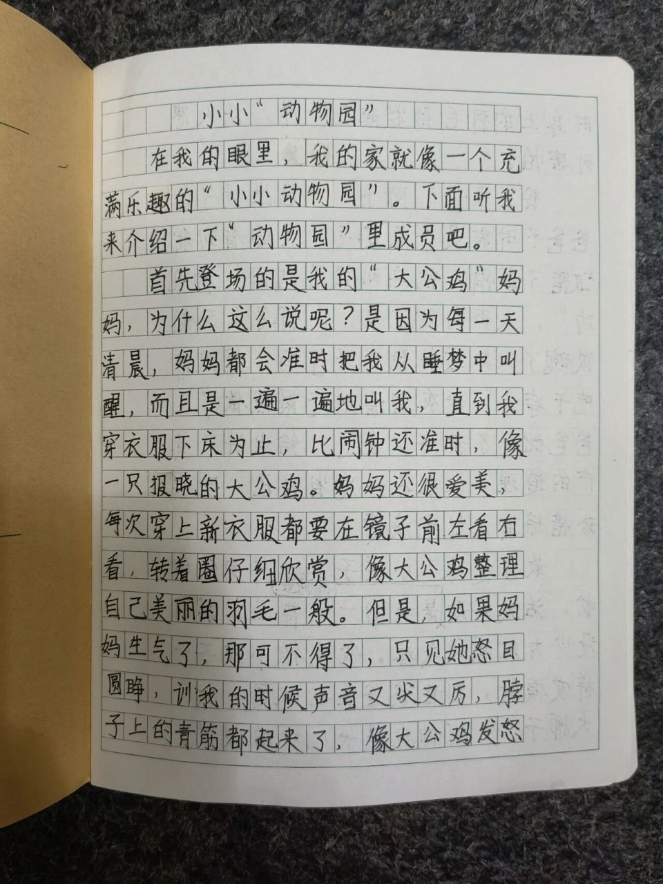四年级上作文《小小动物园》 我在最后一图简单写了给孩子的讲解过程