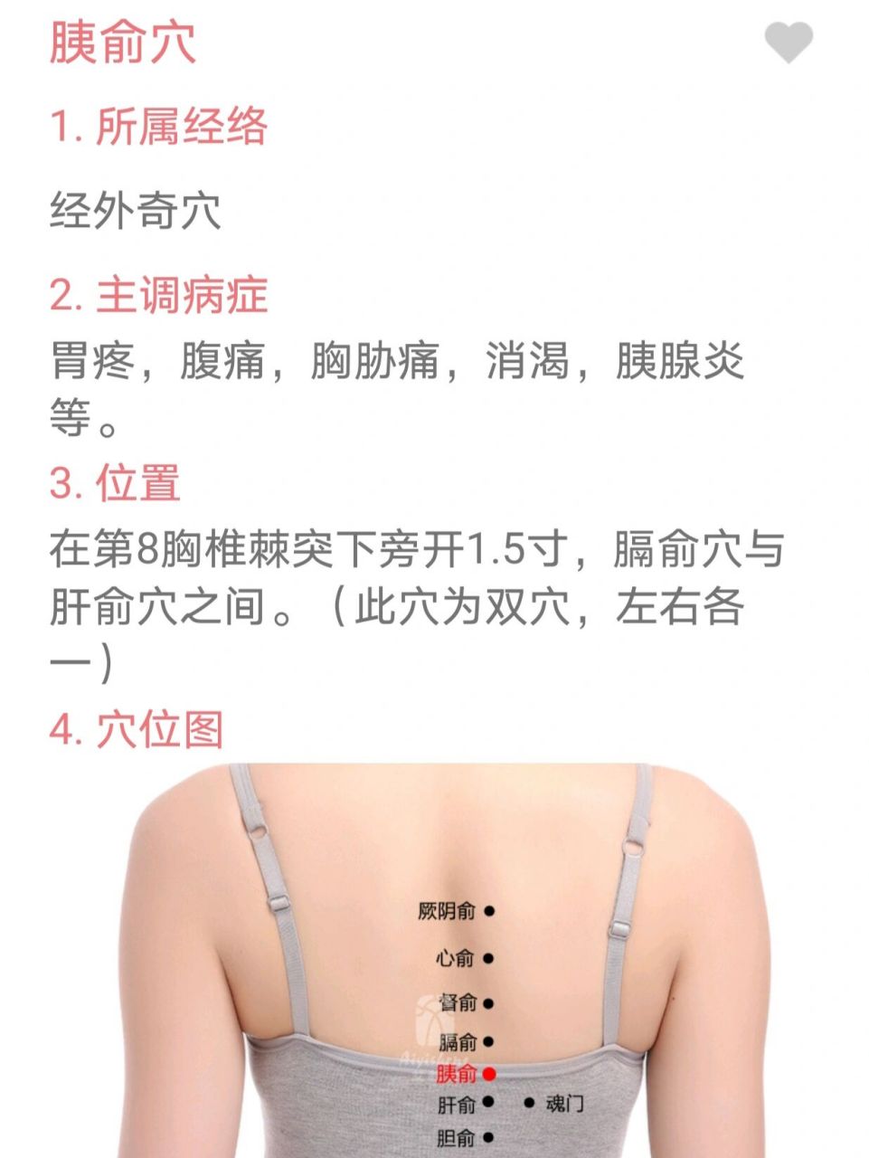 胰俞穴定位7815 上一篇有宝宝问具体位置 图文来啦9499希望能