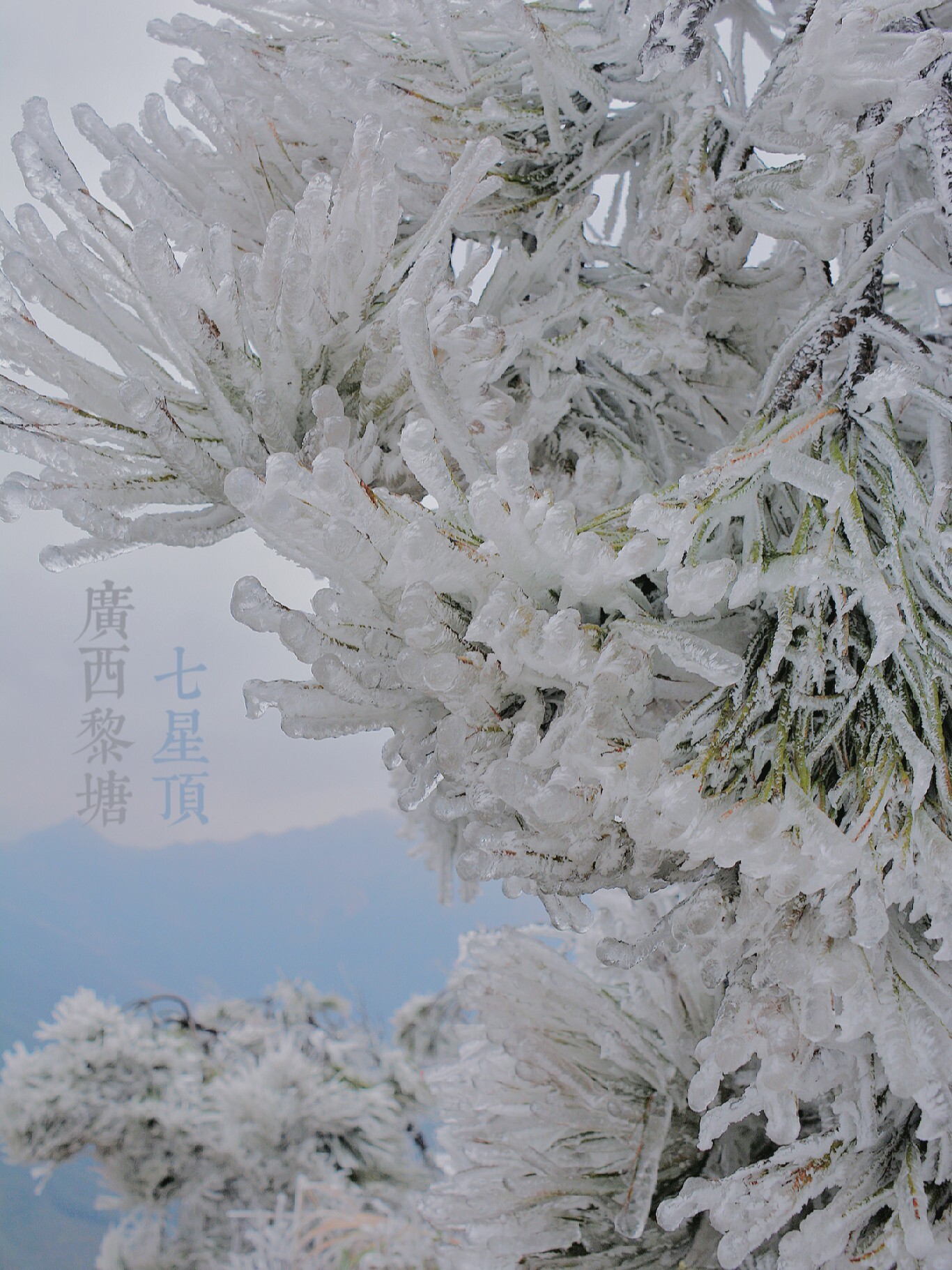 2020广西南宁(2020广西南宁中考作文题目)