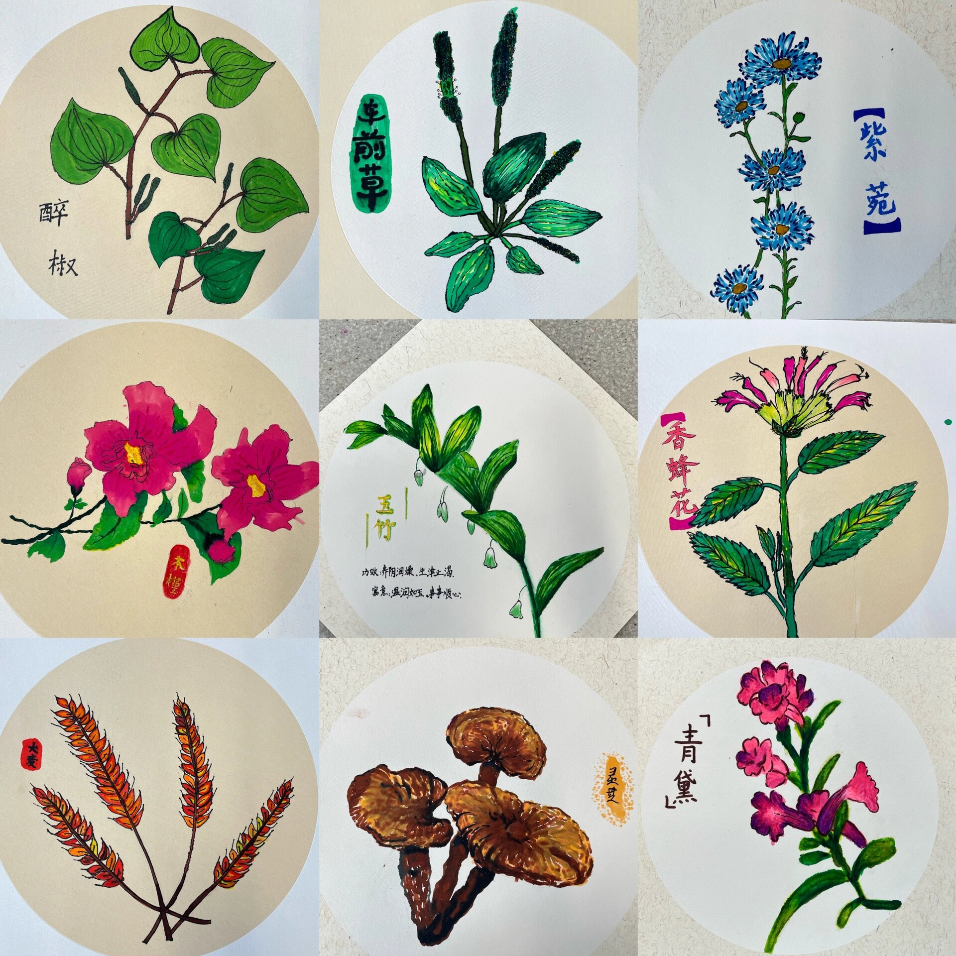 中医药|中药材绘画·真的好美啊!老天爷