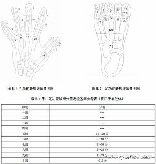 左手食指八级伤残图片图片