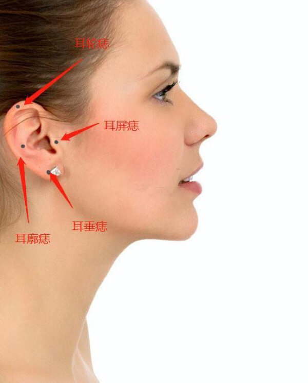 耳朵位置偏下面相图片