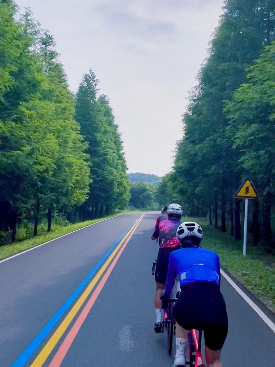 干货|最全的公路车入门知识|该买多大的车 1,我该买多大的车?