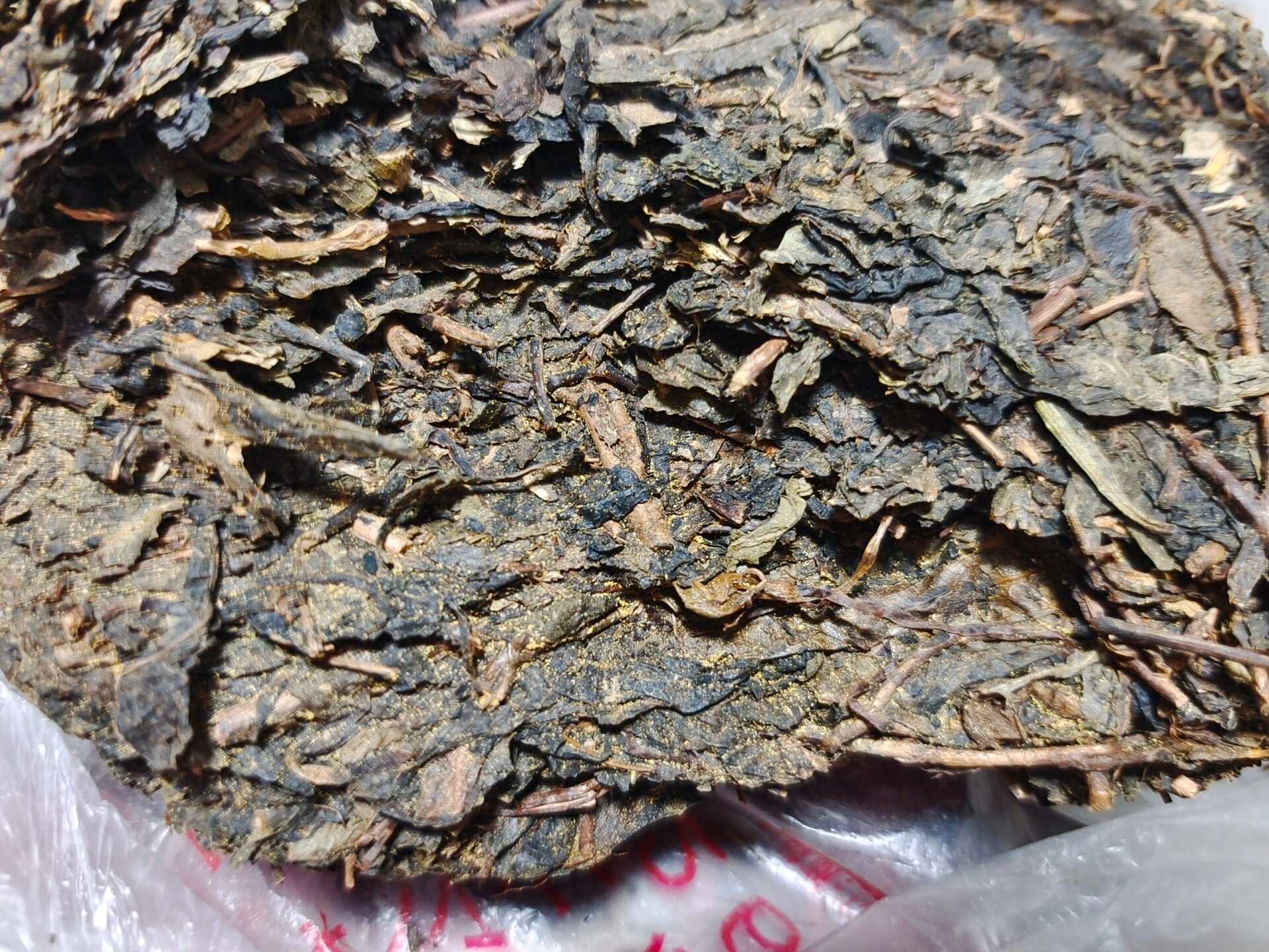 开水冲走霉菌了还能喝吗? 好像是普洱茶 上面金黄色的像虫卵