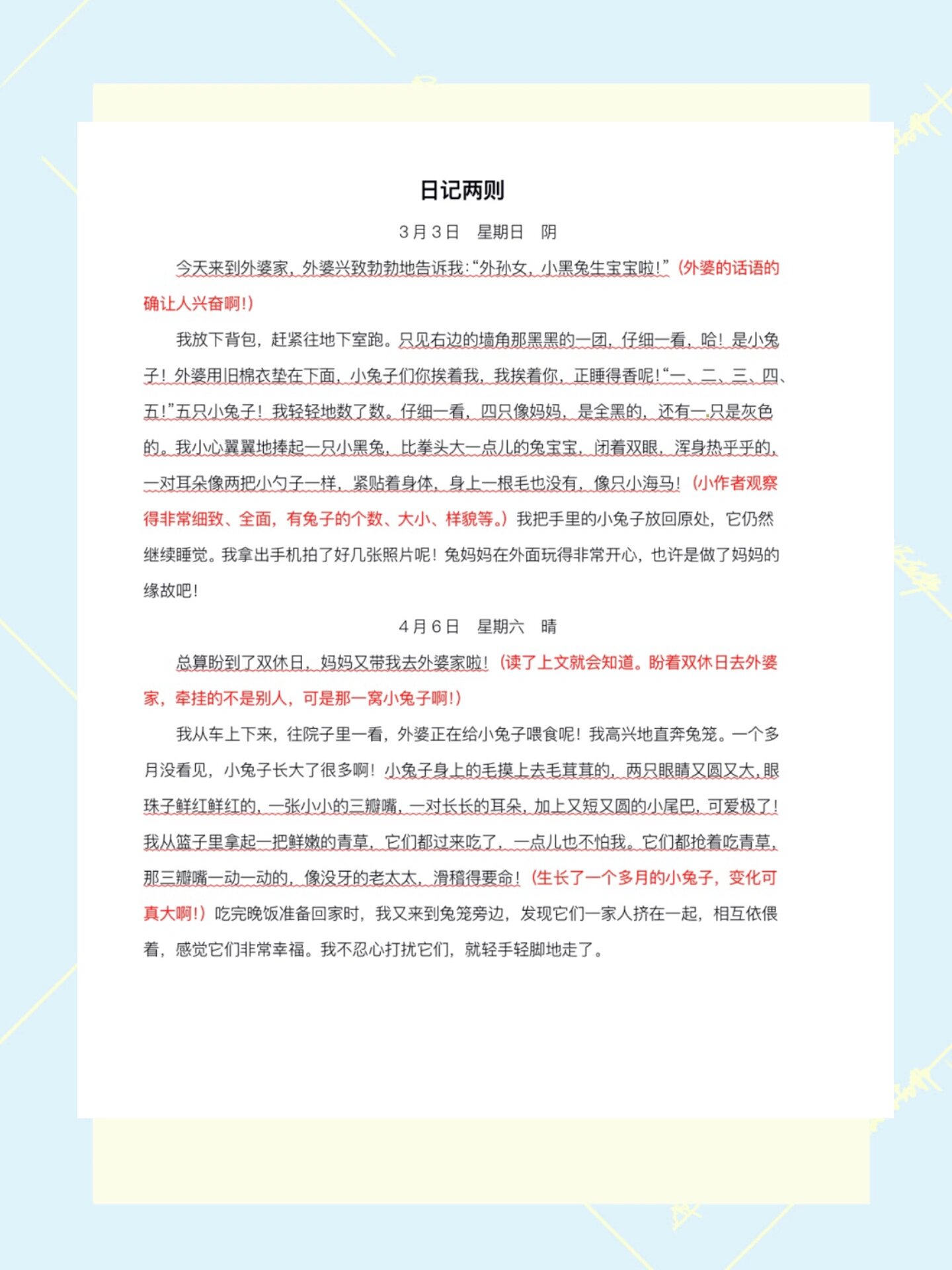 多肉观察日记四年级600字(观察日记多肉植物400字作文)