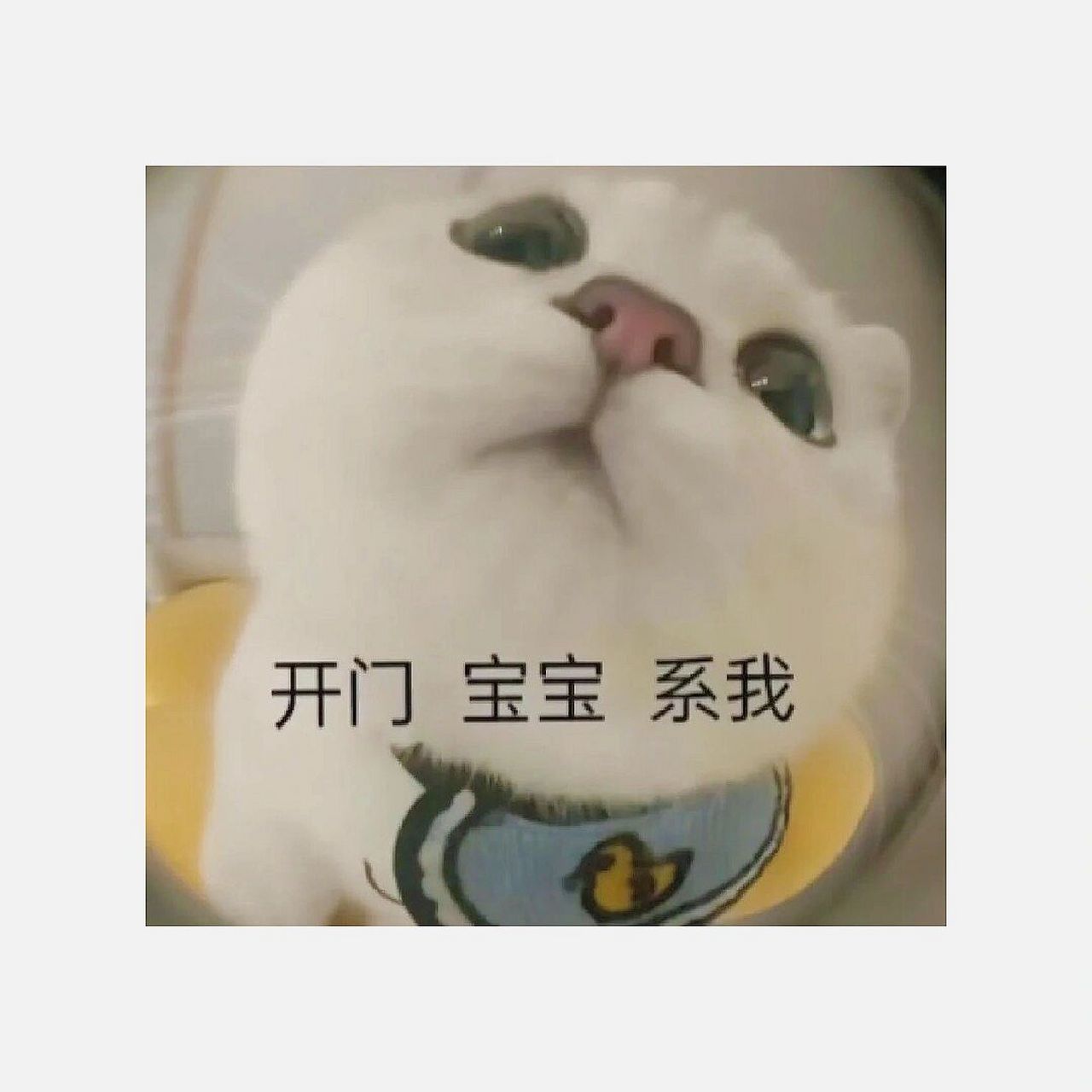 开门宝宝系我 | 表情包| 7215为了方便大家截图,图片都加了白边哟