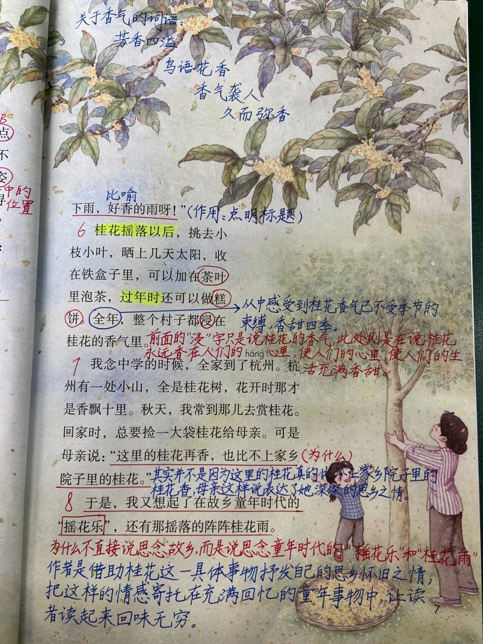 部编版语文五年级上册第3课桂花雨课堂笔记