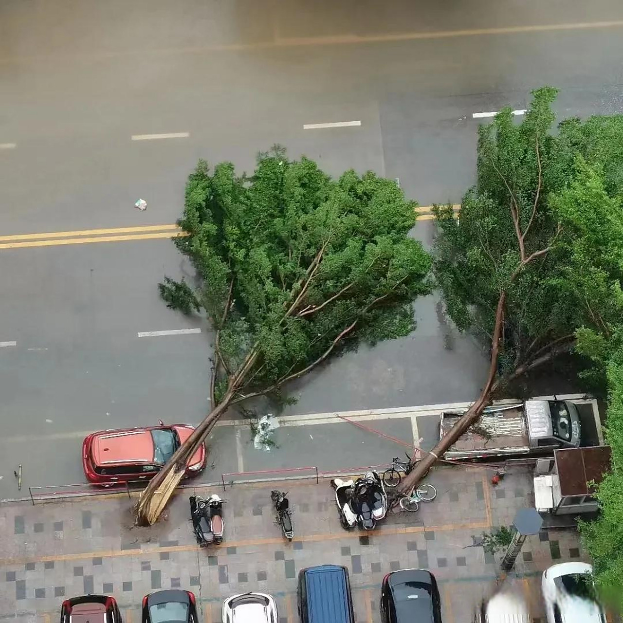 今年台风泰利还是很猛的,广西北海受灾严重,初升高填志愿因它延期三天