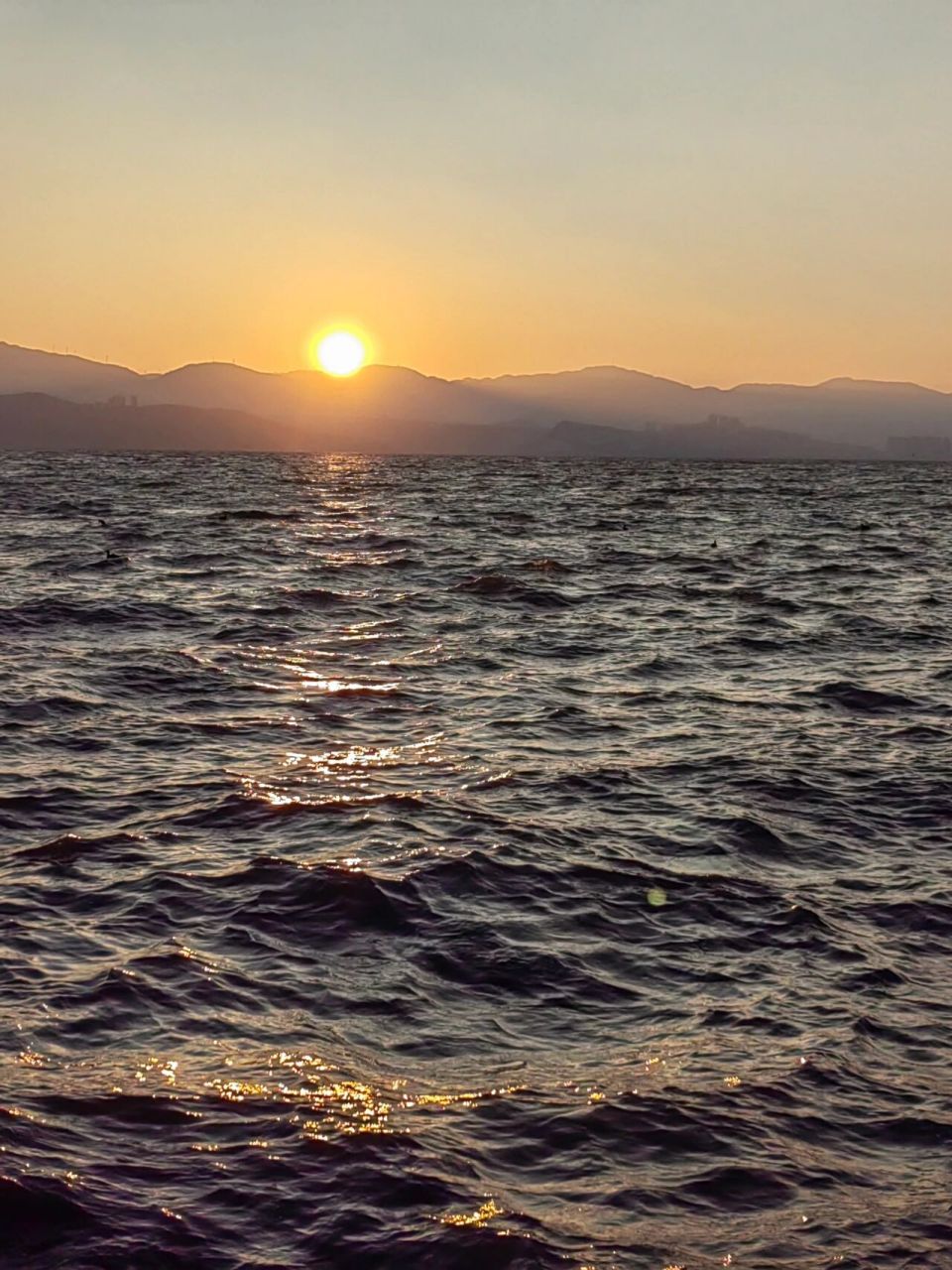 大理day1:龙龛码头vs才村码头 早上:  日出-海鸥-海浪-海风 下午