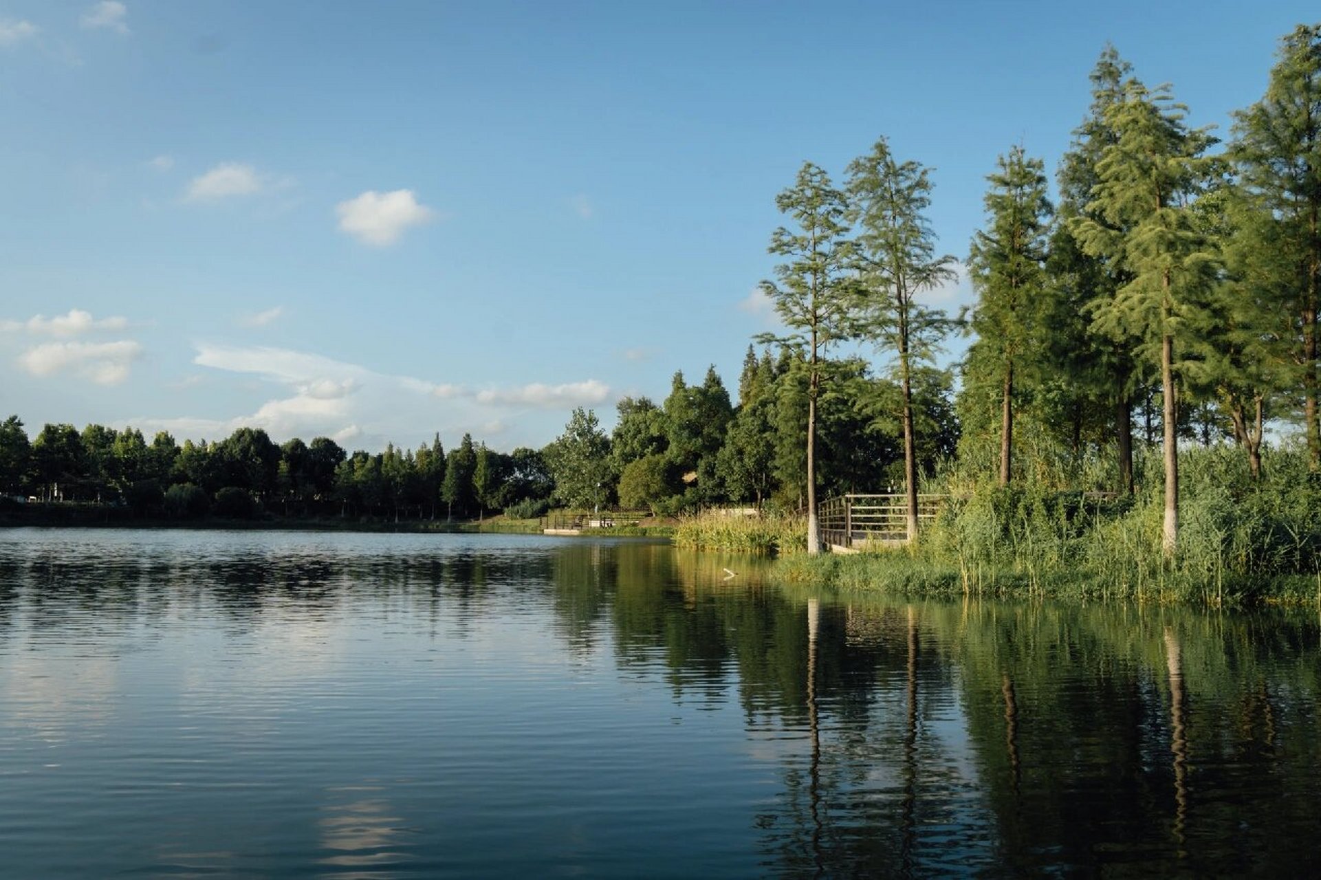 桐乡|凤凰湖 风光篇