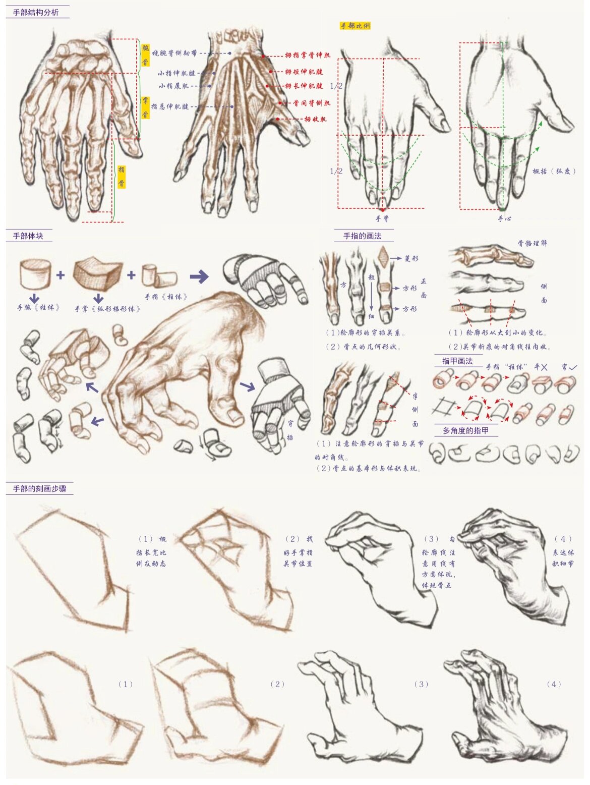 手部速写讲解图片