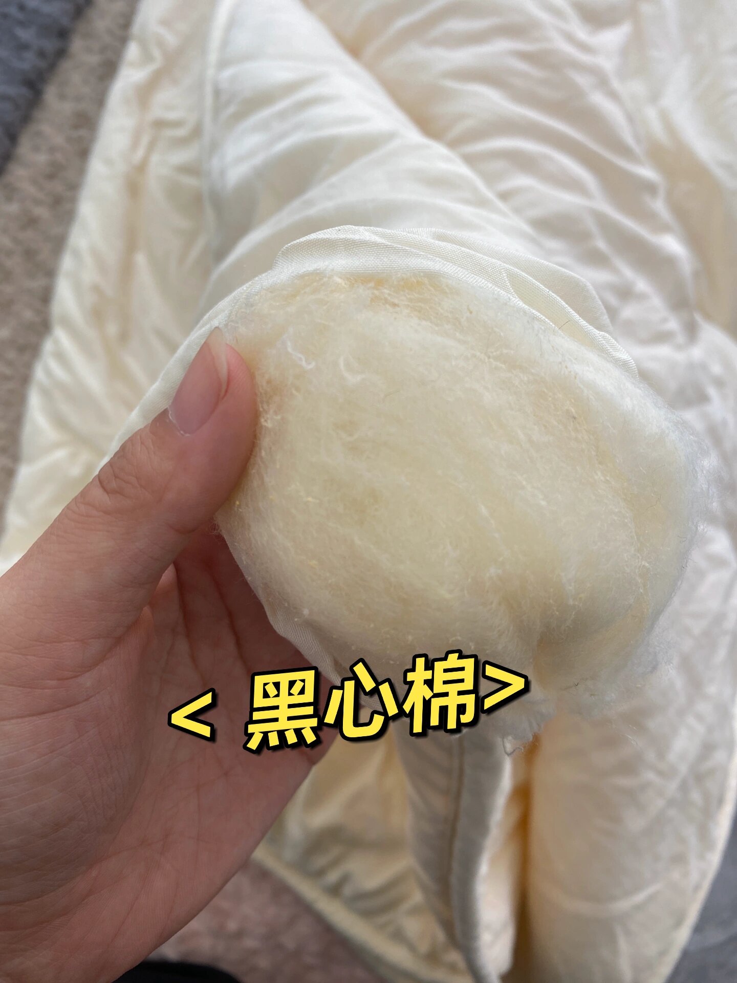黑心棉居然不是黑色!