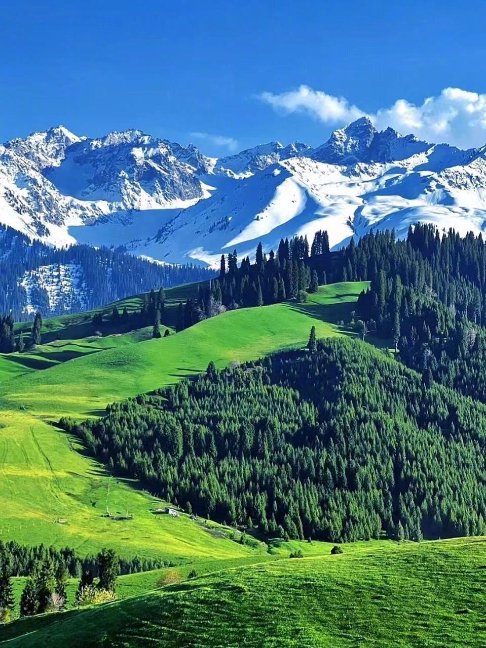 美图种草# 反向旅游之新疆新源县,不输#阿勒泰# !