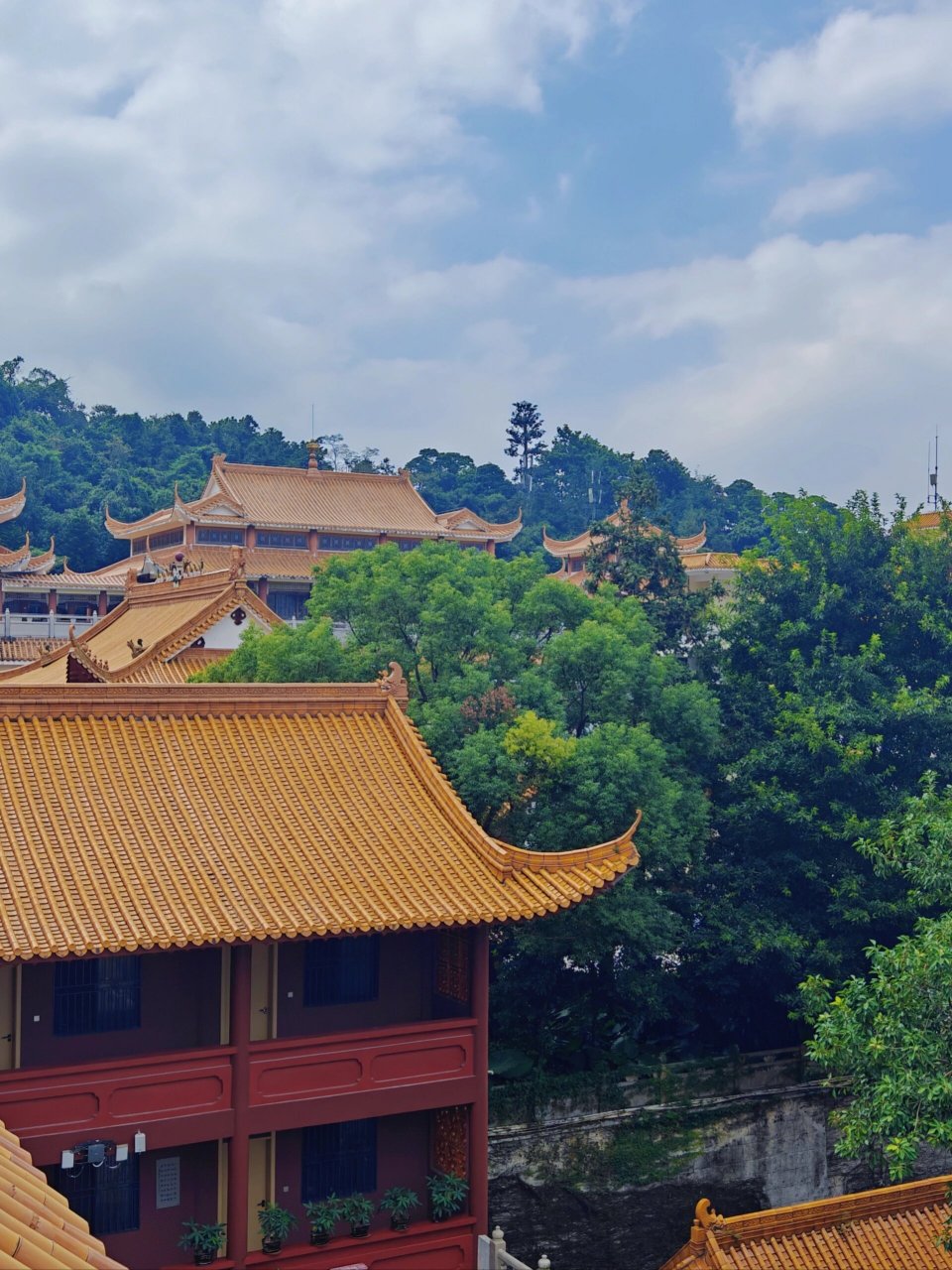 深圳弘法寺,上香拜佛,周末好去处 99深圳仙湖植物园/弘法寺 交通