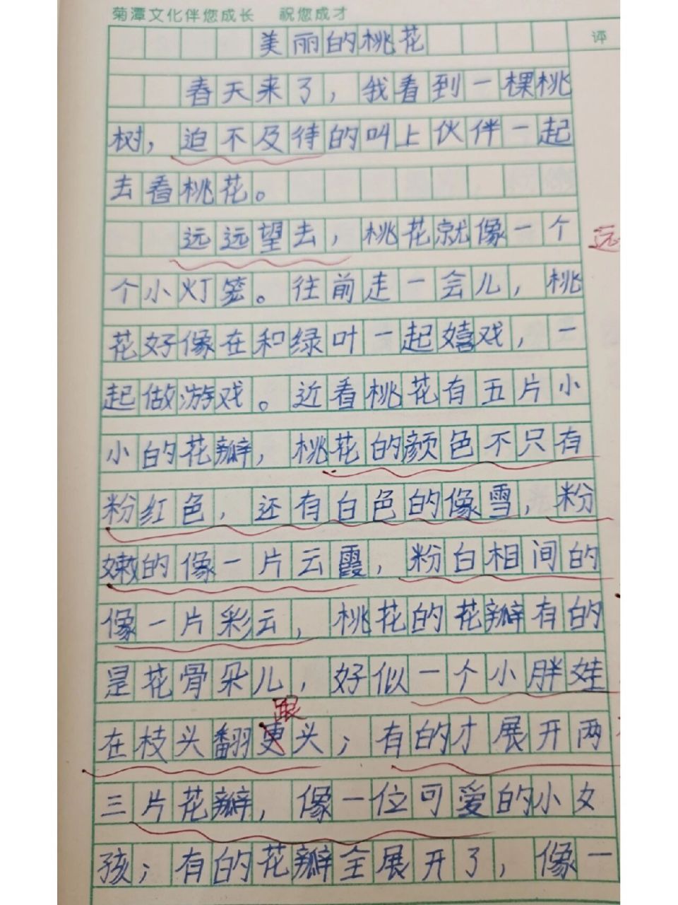 植物的作文50字图片