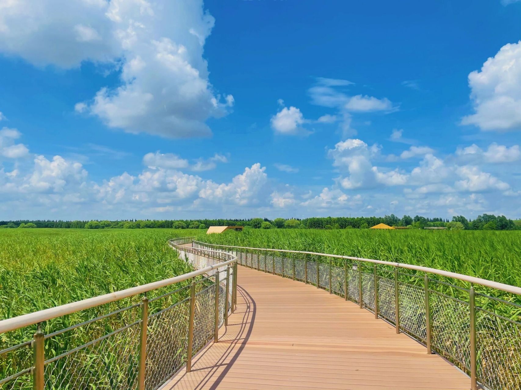 魔都周末去哪儿|崇明西沙湿地公园 崇明西沙湿地公园 99上海市崇明