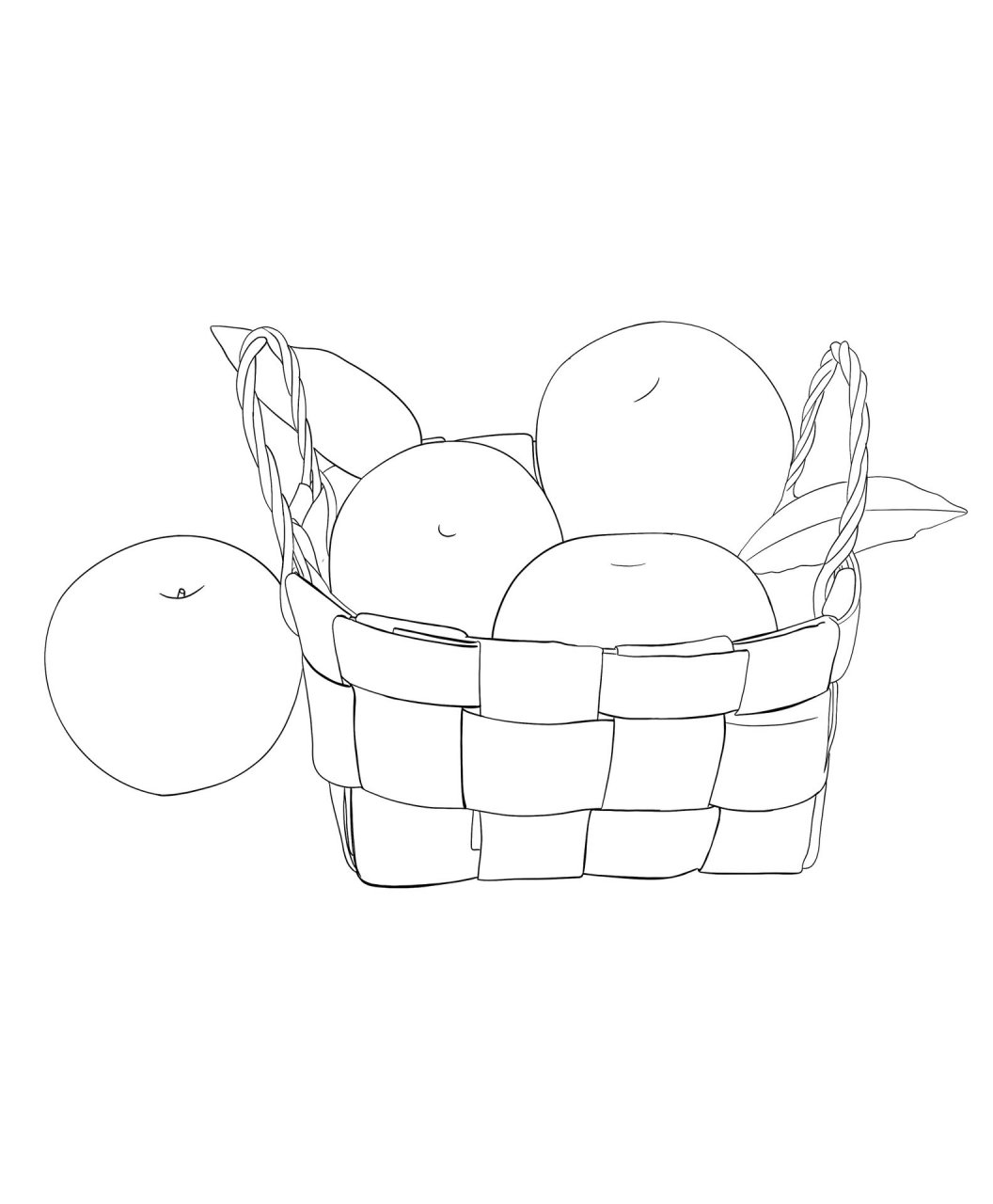 水果写生:一篮苹果:线描写生步骤图