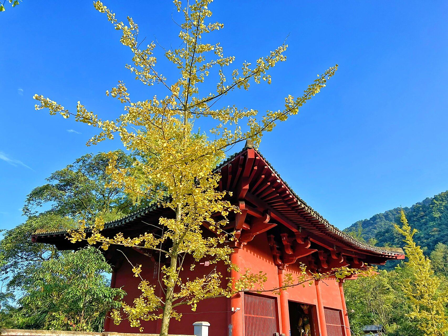 比白马寺还早的 大邑县雾中山开化寺 雾中山开化寺始建于东汉永平十六