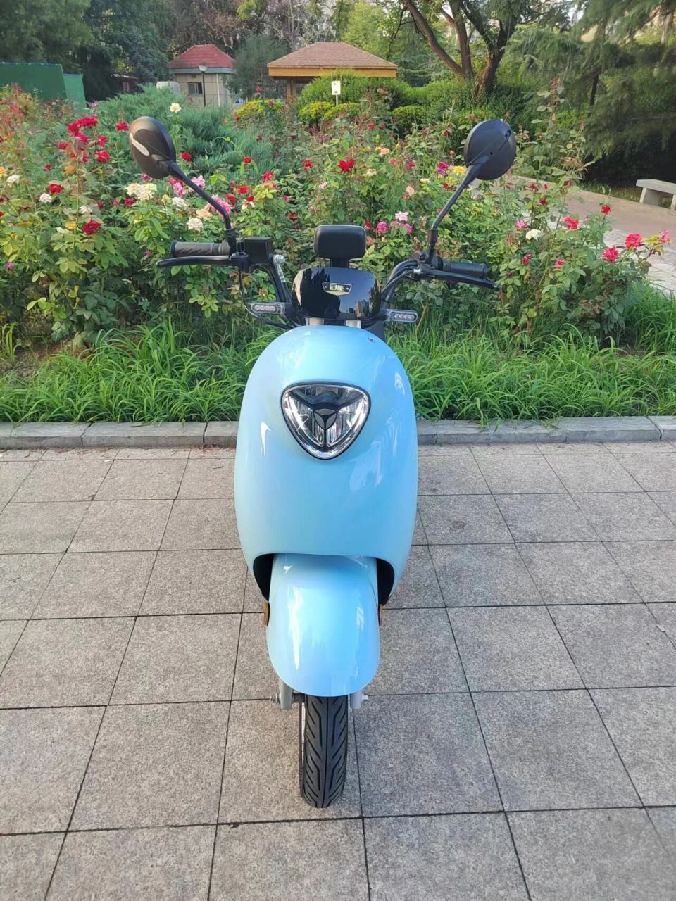 雅迪冠能dm6电动车,48v24a锂电池,续航65 雅迪冠能dm6电动自行车,48v