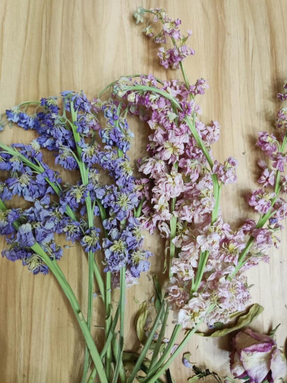 紫罗兰干花 谁懂我的惊喜啊,过年回家前还是鲜花,回来发现它自己就
