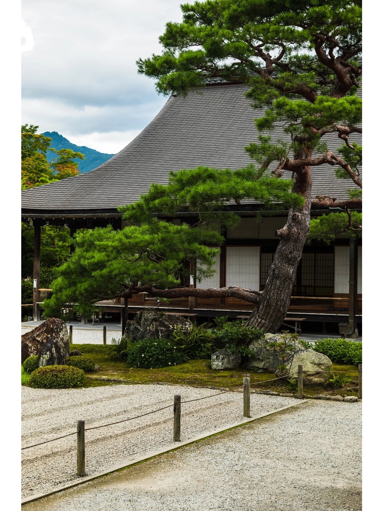 京都五山之首天龙寺细节赏析
