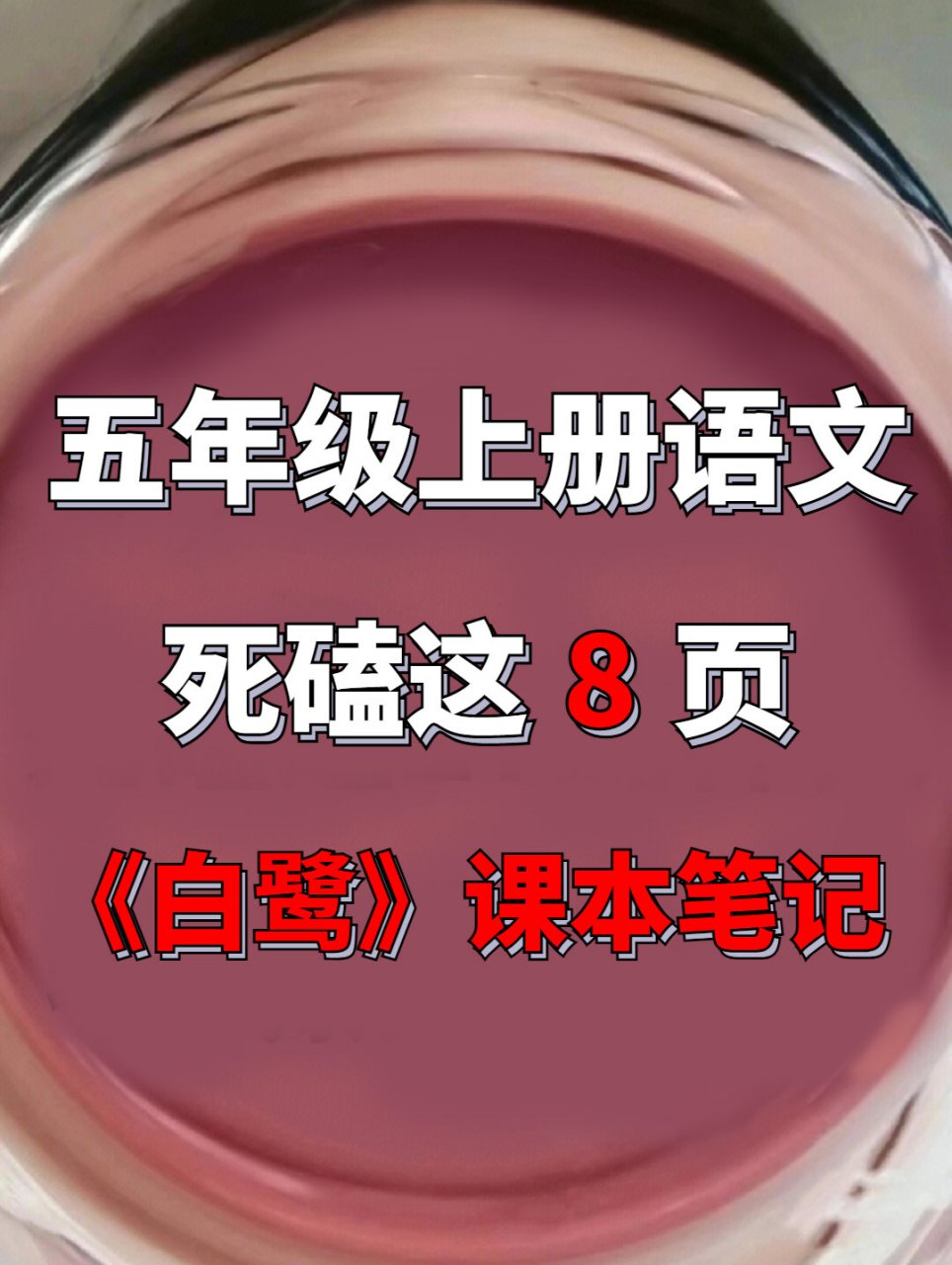 语文五年级上册第一课《白鹭》课本笔记